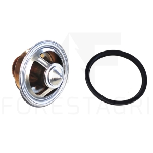Thermostat - RE538289, RE528652