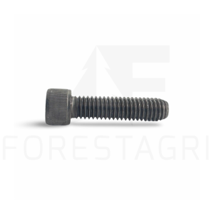 Screw - 19H3923