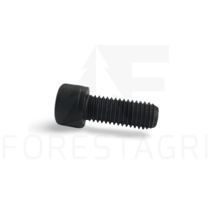 Screw - 19M10031