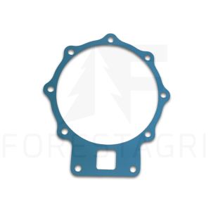 Gasket - F010159