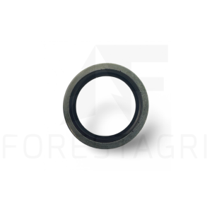 Ring - F005170