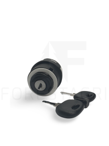 Ignition switch - F005316
