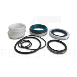 Seal kit - F005436 (spare part)