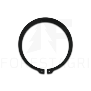 Snap ring - F007521, 40M7328 (spare part)