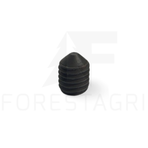Screw - F007666