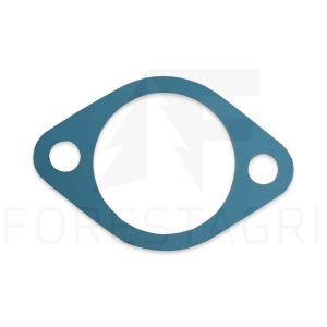 Gasket - F009499