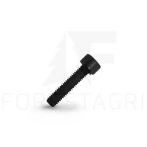 Screw - F010749