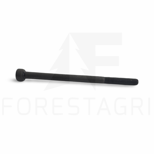 Śruba mocująca, Fastening bolt, Feststellschraube, Upínací šroub, Prispaudimo varžtas - F018811