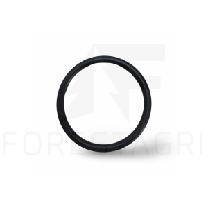 O-ring - F021146