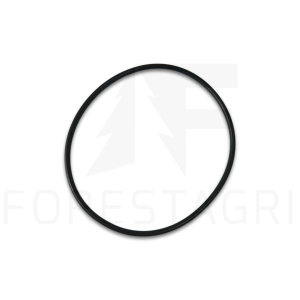 O-ring - F025162 (spare part)