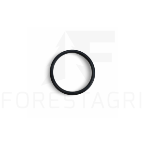 O-ring - F025320