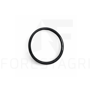 O-ring - F047913 (spare part)