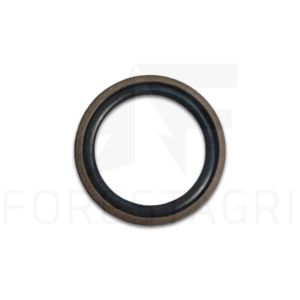Gasket - F050813 (spare part)