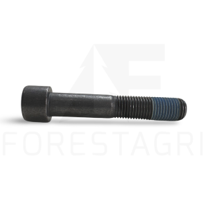 Screw - F054485