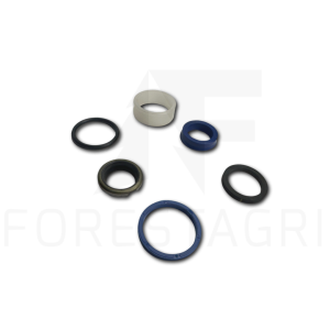 Set of seals - F058179 (spare part)