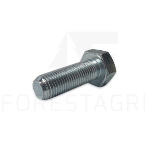 Screw - F063067