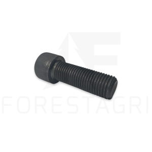Screw - F063067 (spare part)