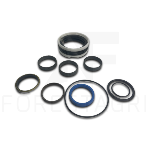 Zestaw uszczelnień, Sandariklių rinkinys, Sada těsnění, Dichtungssatz, Seal kit, F064057