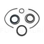 Seal kit - F065751