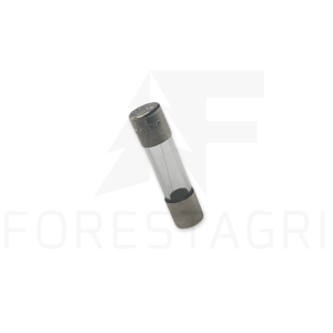 Fuse - F066389