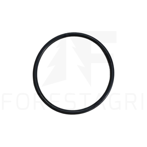 O-RING - F067370