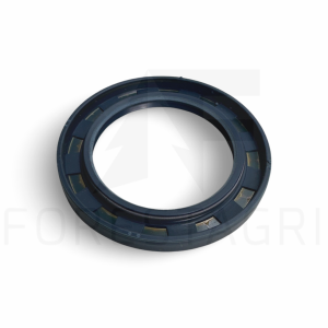 Simmering - F069038 (spare part)