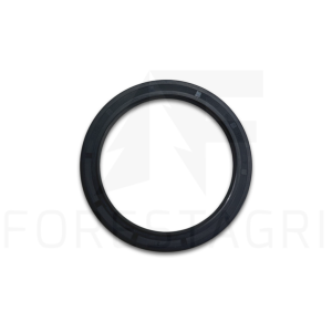 Simmering - F069205 (spare part)