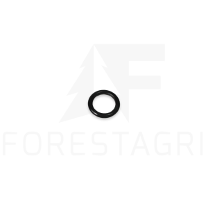 O-ring - R10093, F025506