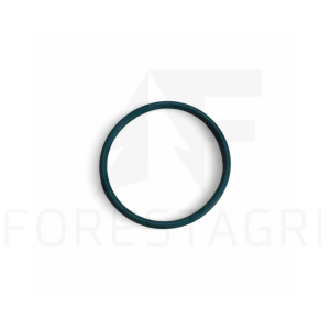 O-ring - R519989 (spare part)