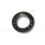 Ball bearing - F005546