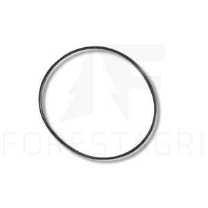 O-ring - F056056