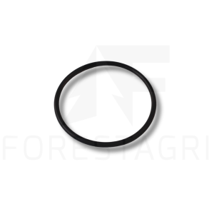 Water pump gasket - 4222713M1 (spare part)