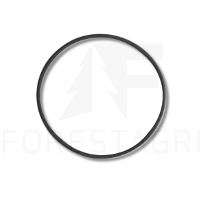 O ring - F003229