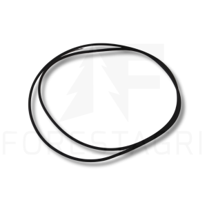 O-ring - F003300