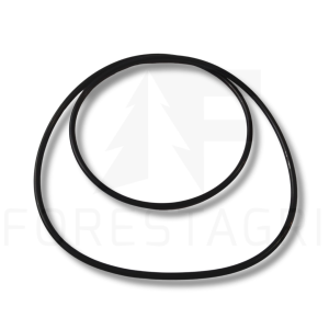 O-ring - F003308
