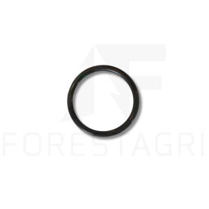 O-ring - F004570