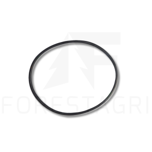 O-ring - F004716