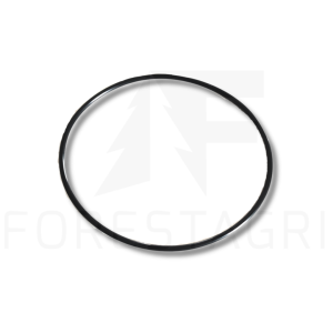 O-ring - F007622, T66421 (spare part)