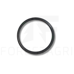 O-ring - F011016