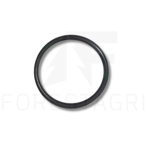 O-ring - F011016