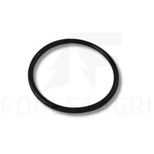 O-ring - F015974 (spare part)