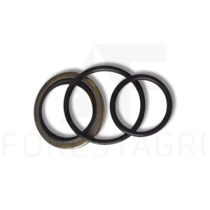 Gasket set - F021627 (spare part)