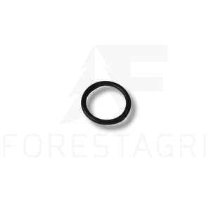 O-ring - F025702 (spare part)