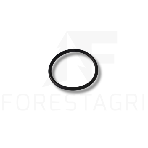 O-RING - F054540 (UŻYWANE)
