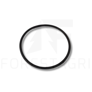 O-ring - F061067 (used part)