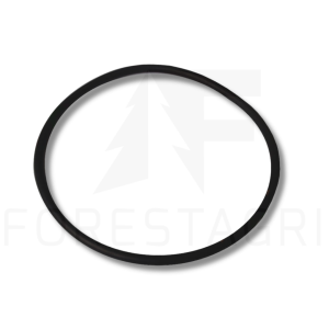 O-ring - F062126