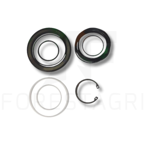 Seal kit - F065432 (spare part)