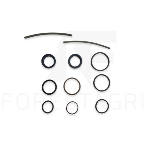 Seal kit - F066440 (spare part)