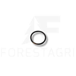 O-ring - R98805, F010961, T149316