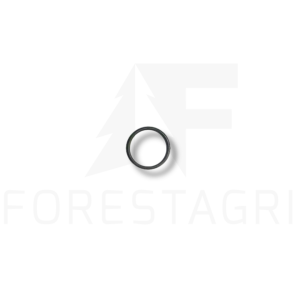 O-ring - T114419